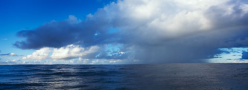 Michael Berman Photography